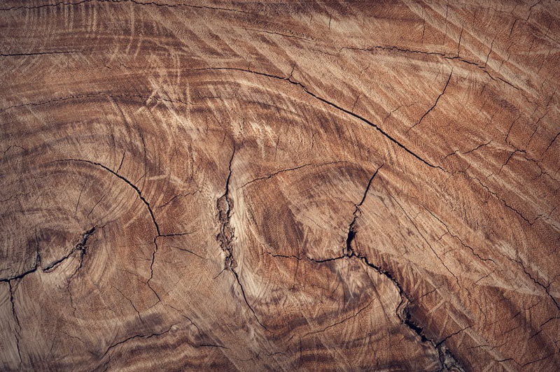 What is a Live Edge Burl Wood Slab, and What are its Common Uses? - Global  Wood Source